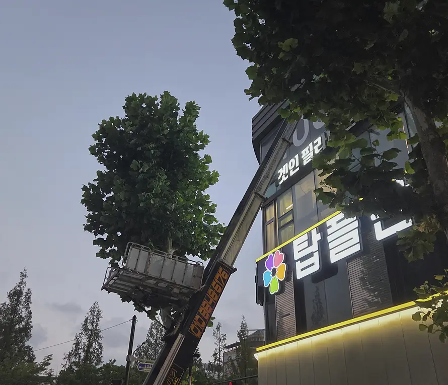 노원구 폐기물처리 기록 사진 4