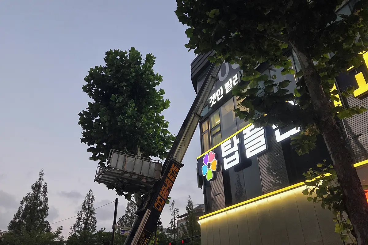 인천 서구 폐기물 처리 가격 현장 사진 2